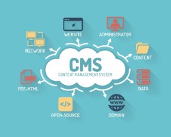 CMS Nedir? CMS Ne İşe Yarar?